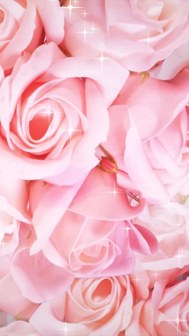 粉色玫瑰婚礼花朵唯美舞台背景视频的预览图