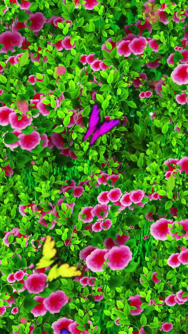 唯美的花草背景素材视频的预览图