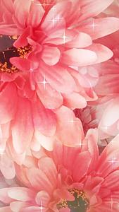 粉色花朵唯美舞台背景视频的预览图