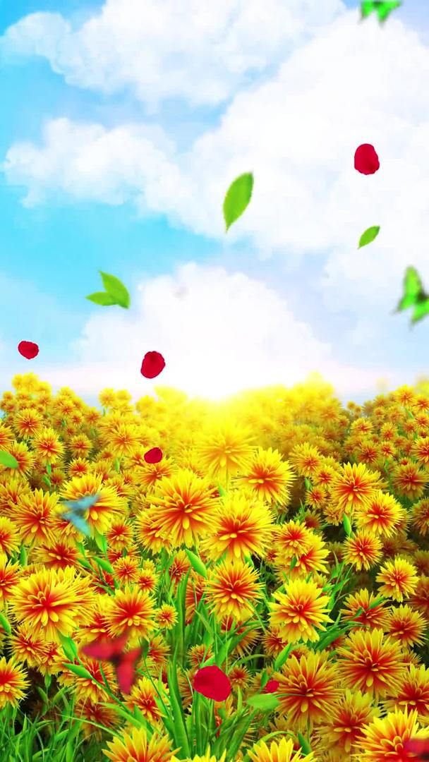 唯美的黄色鲜花背景素材视频的预览图