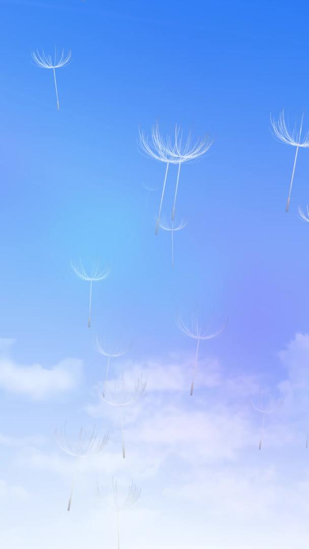 蒲公英唯美天空背景视频的预览图