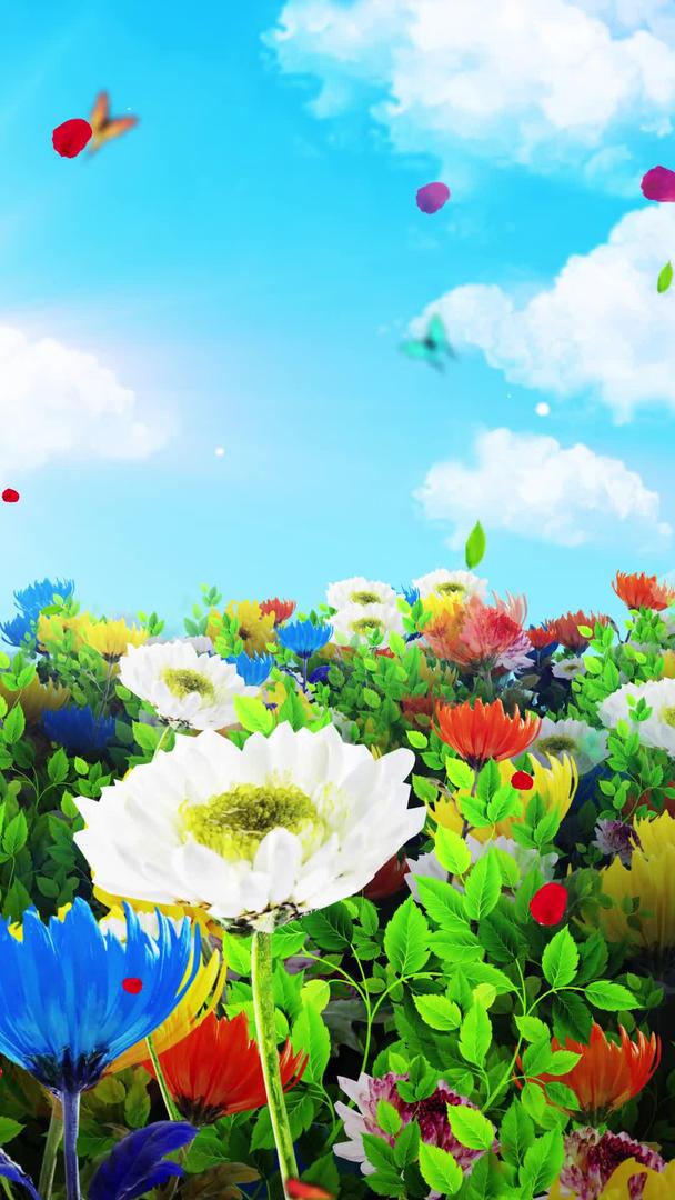 唯美的菊花背景素材视频的预览图