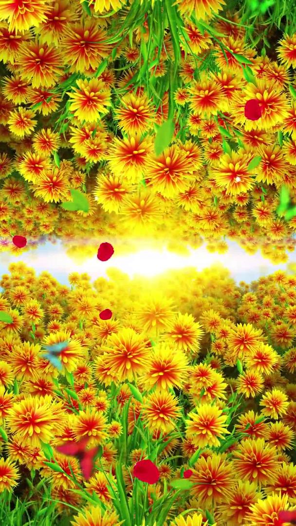 唯美的鲜花背景视频素材视频的预览图