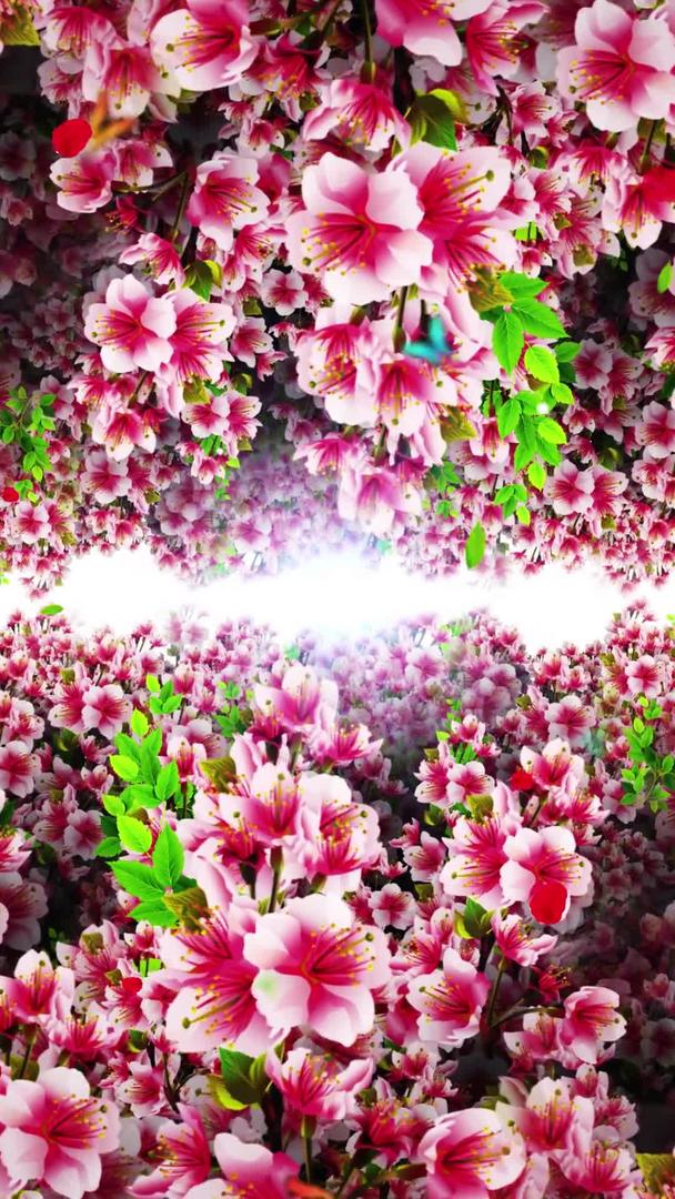 唯美的桃花穿梭背景素材视频的预览图