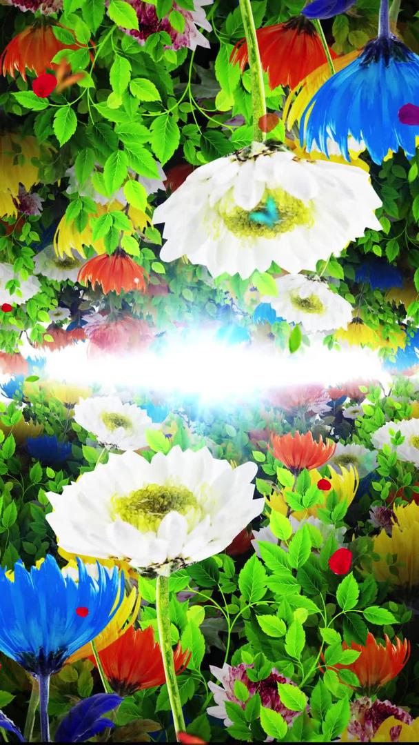 唯美的菊花背景素材视频的预览图