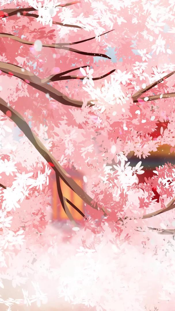 唯美粉色爱情樱花背景视频的预览图