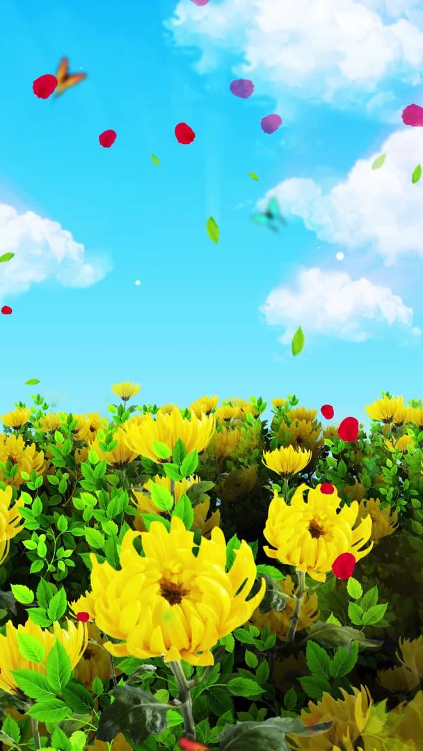 唯美的黄菊花背景素材视频的预览图