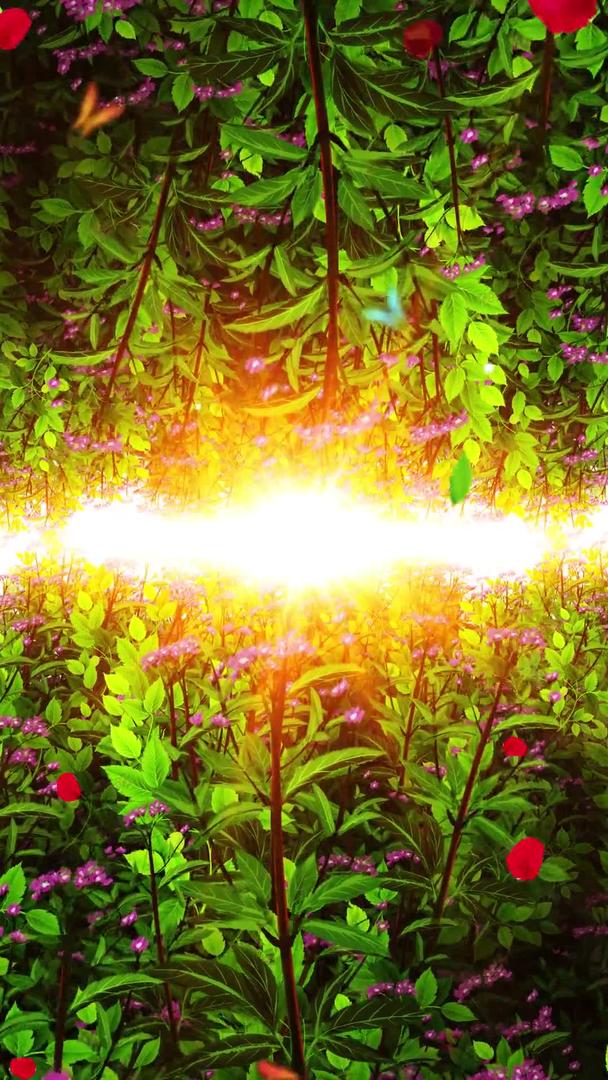 唯美的艾草植物背景素材视频的预览图
