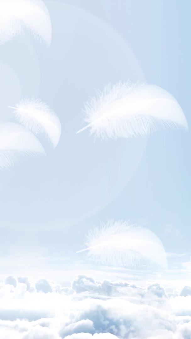 清新羽毛天空背景视频的预览图