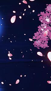唯美温馨月光动态花瓣飘落背景视频视频的预览图