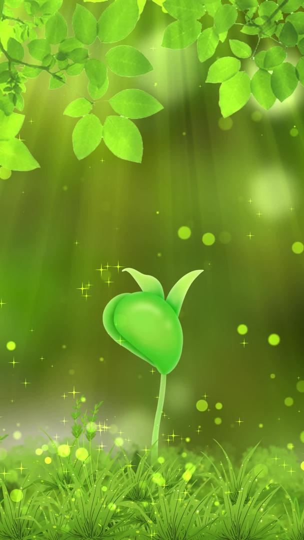 清新绿色幼苗生态环保背景视频的预览图