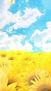 清新动态唯美向日葵粒子花瓣背景视频视频的预览图