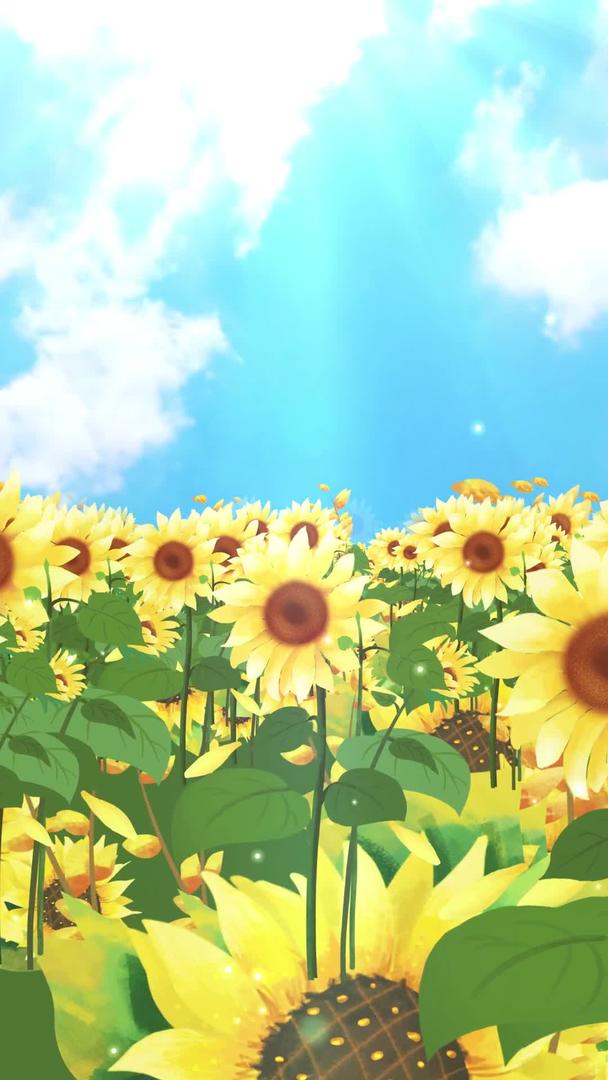 唯美动态向日葵花朵背景视频视频的预览图