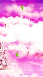 维美的水墨桃花背景视频素材视频的预览图