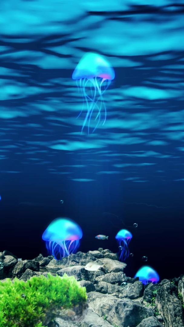 唯美的海底水母视频素材视频的预览图