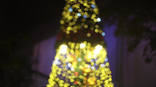 圣诞树亮光模糊视频的预览图