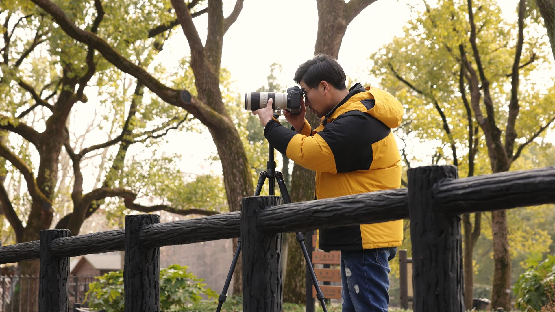 公园摄影师在摄影视频的预览图