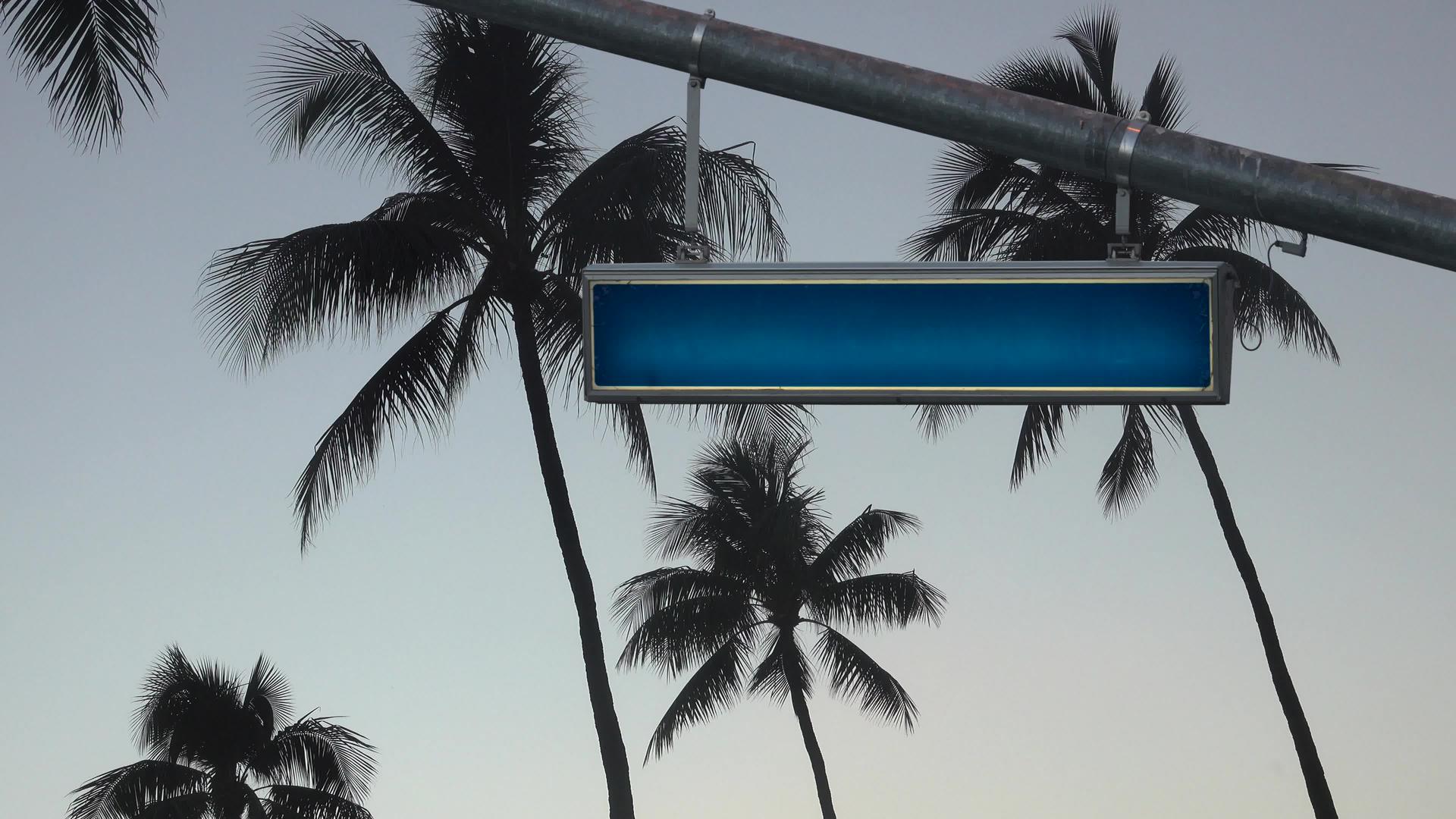 空白棕榈树的空白街道标志视频的预览图