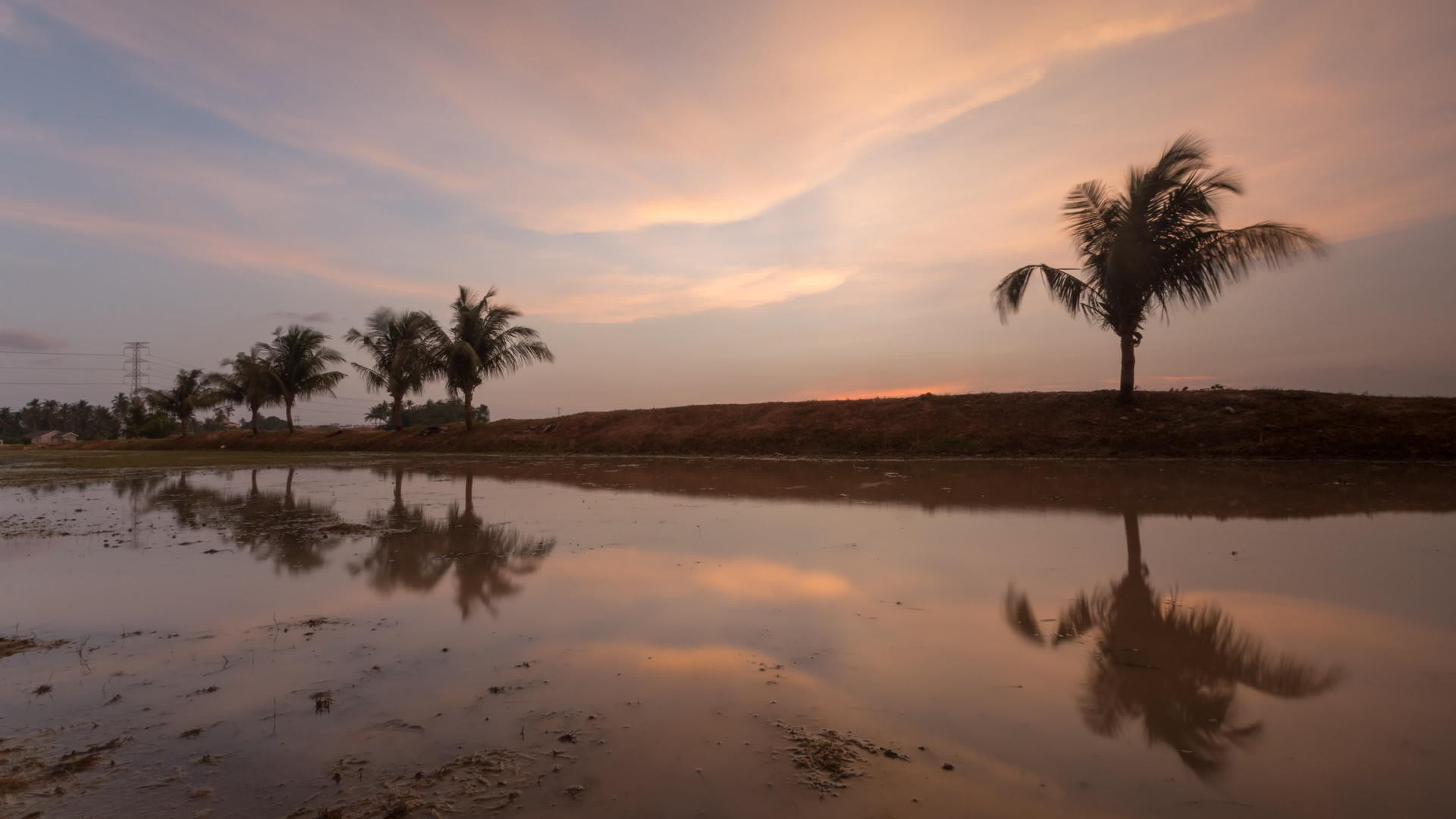 椰子树的直线时间在日落时反射视频的预览图