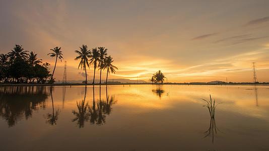 黄金日落时间在椰子树上结束视频的预览图