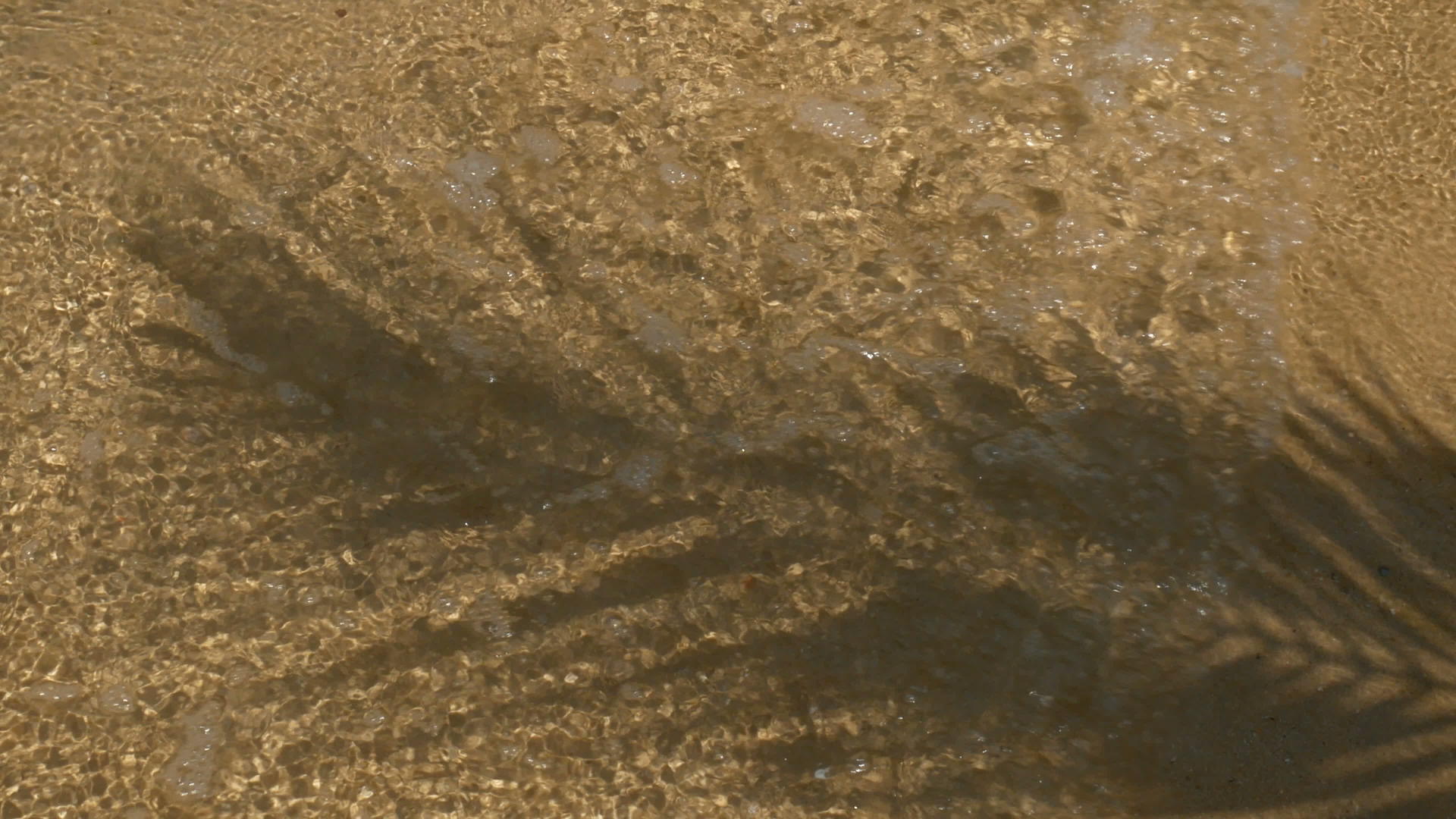4.k.椰子棕榈树的叶子和叶子的阴影延伸在海滩上水流、波浪和水晶冲出海滩视频的预览图