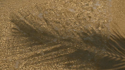 4.k.椰子棕榈树的叶子和叶子的阴影延伸在海滩上水流、波浪和水晶冲出海滩视频的预览图