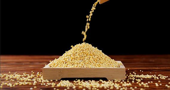 4k高清小米养生食材黄小米视频的预览图