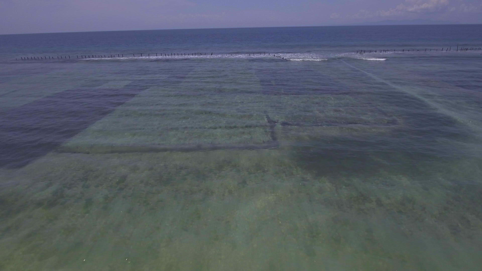 卡朗沙里村Nusapenida观察海滩海草种植园的空气视频的预览图