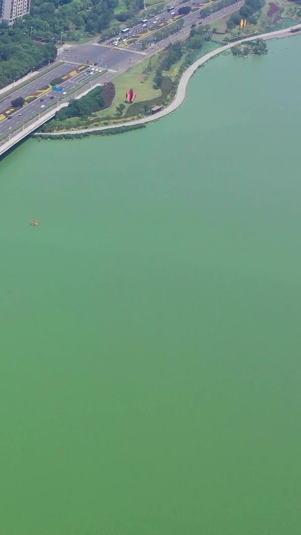 苏州金鸡湖航拍湖大桥视频的预览图