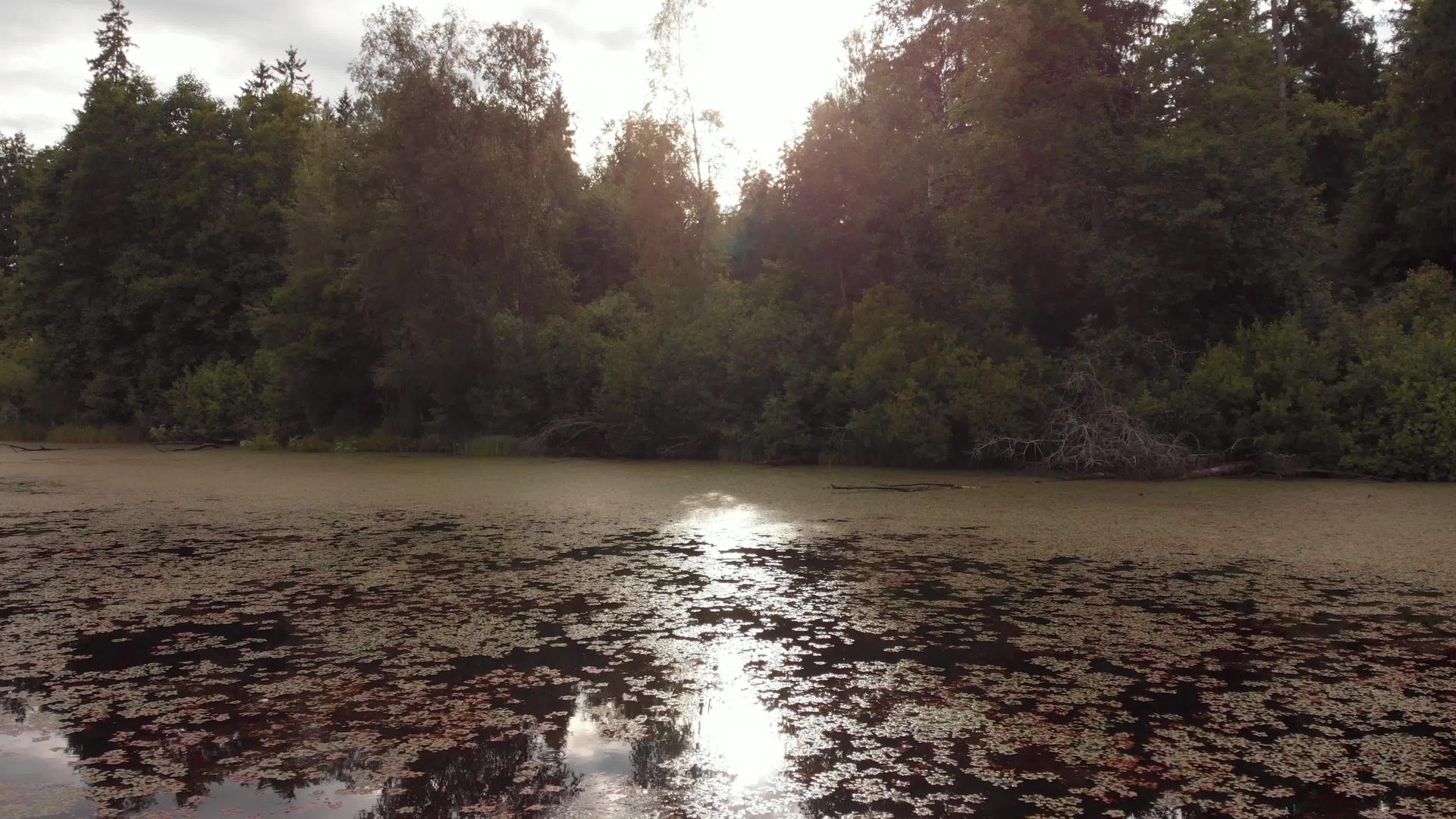 湖边日落的背光视频的预览图