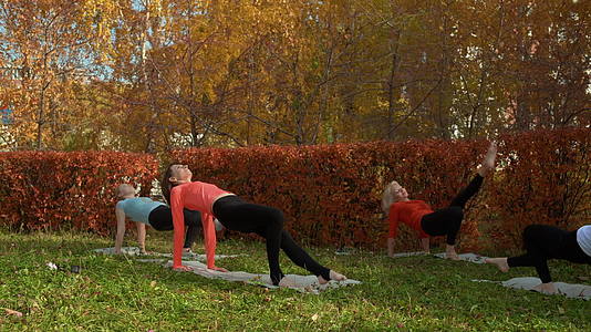 健身组在美丽的秋天公园工作视频的预览图