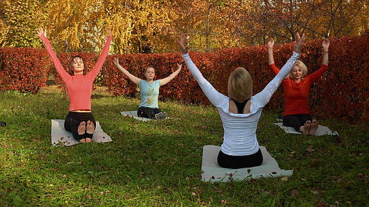 健身组在公园垫子上练习瑜伽视频的预览图