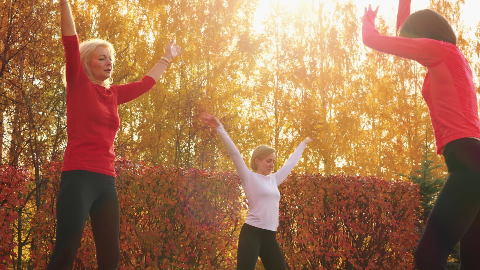 秋季公园户外锻炼的健身女性视频的预览图