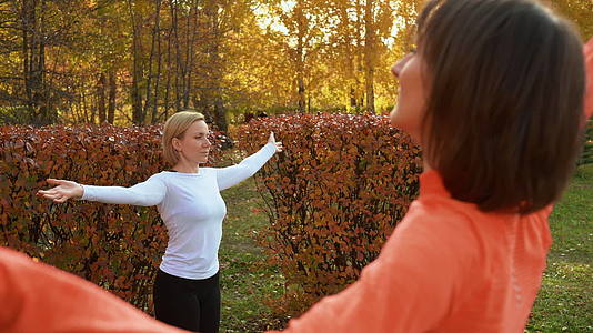 健身妇女在秋季公园的户外课上训练瑜伽在城市公园练习瑜伽姿势的女性团体运动妇女在公园里练习瑜伽视频的预览图