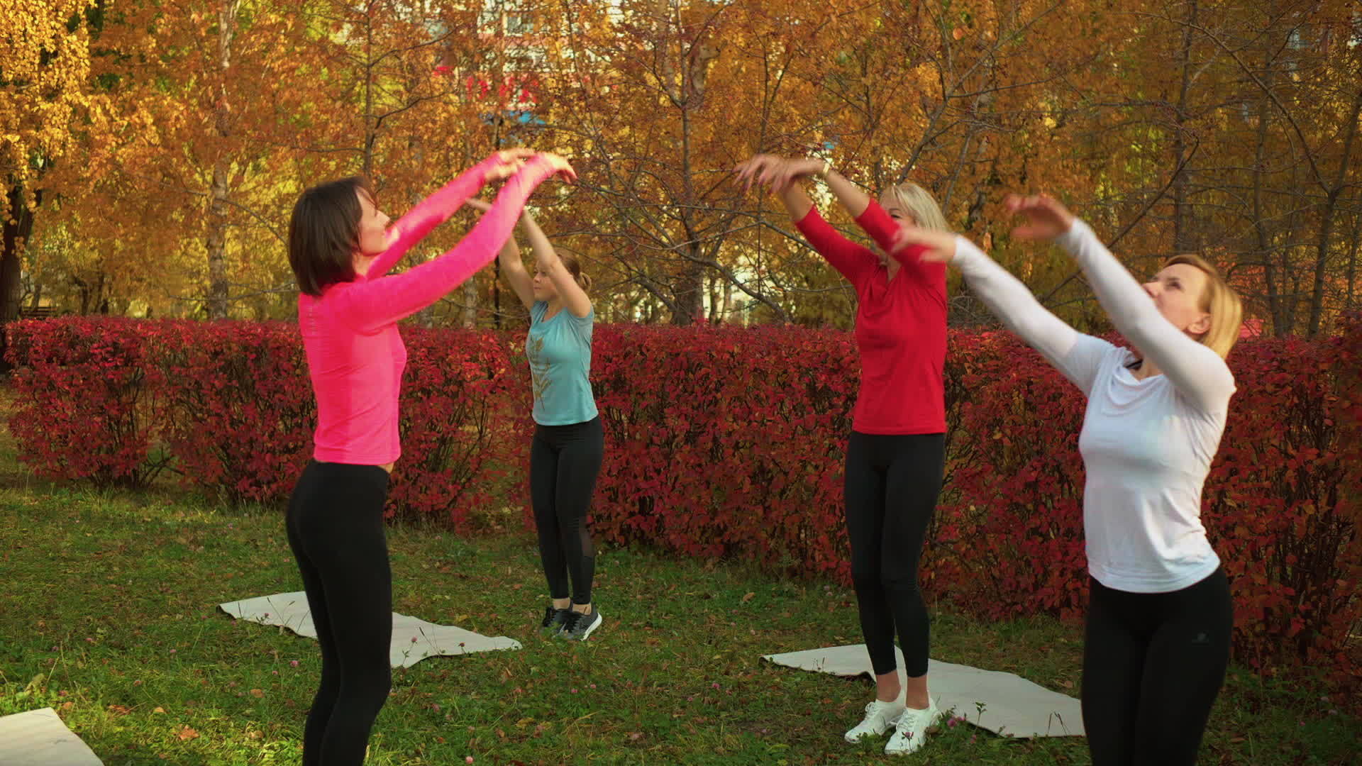 在城市公园训练的团体瑜伽妇女视频的预览图