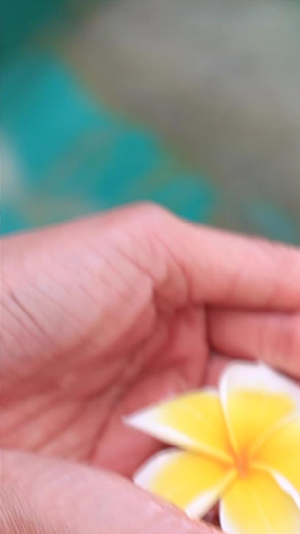 蛋花在手中实拍视频的预览图