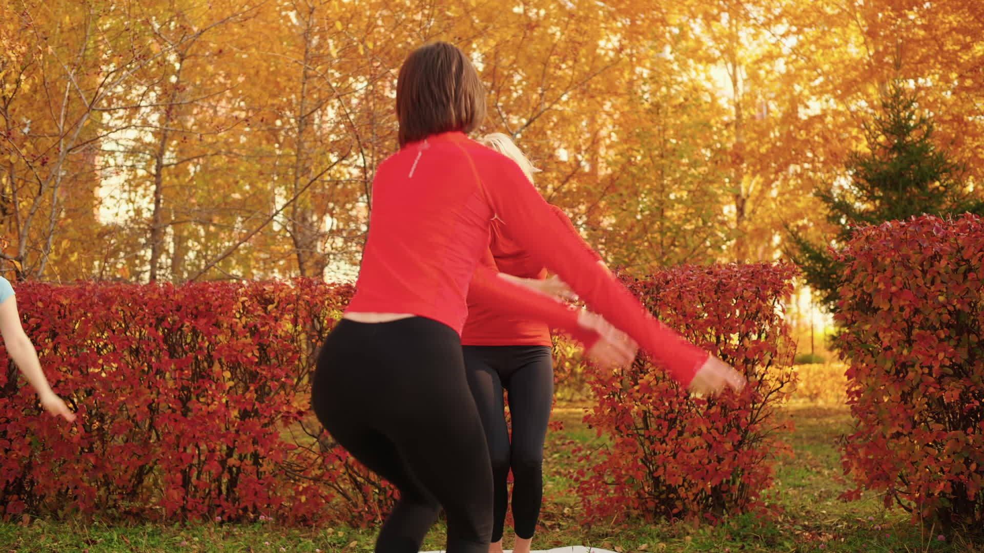 体育教练训练户外运动女性小组阿莎娜是秋天在公园做瑜伽的女性在秋天的公园里视频的预览图
