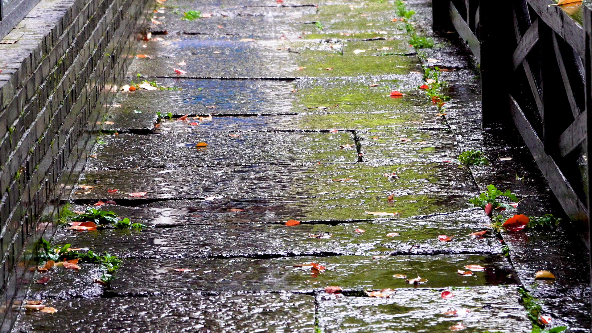 雨滴滴落在石板路上视频的预览图