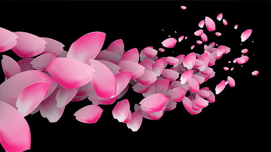 4k桃花花瓣转场动画元素带透明度视频的预览图