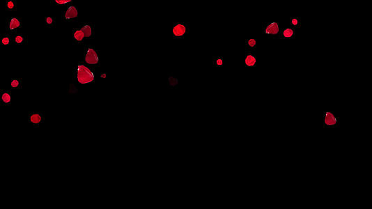 4K爱情玫瑰花瓣飘落动画元素视频的预览图