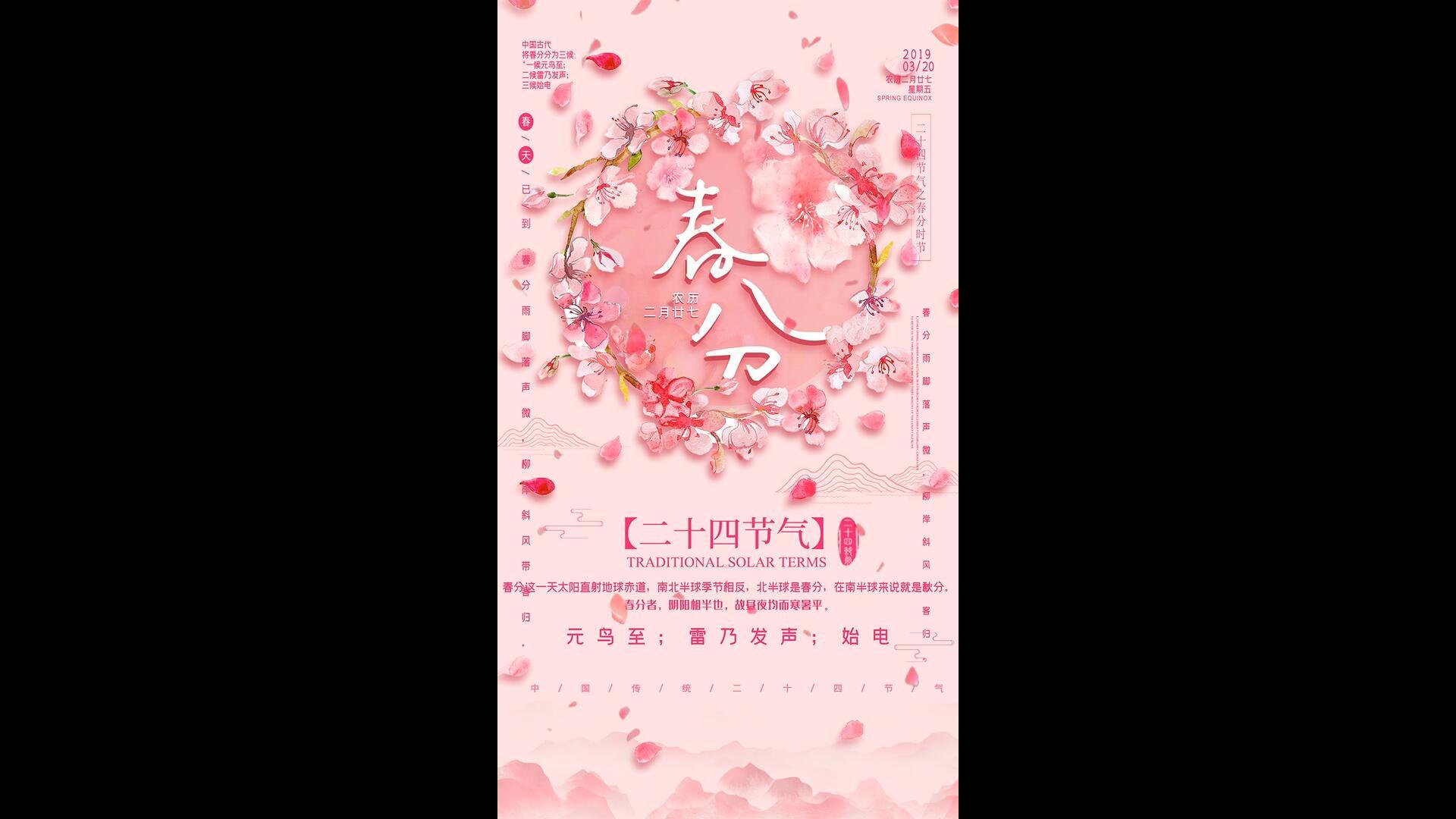 二十四节气春分粉色桃花小视频背景视频的预览图