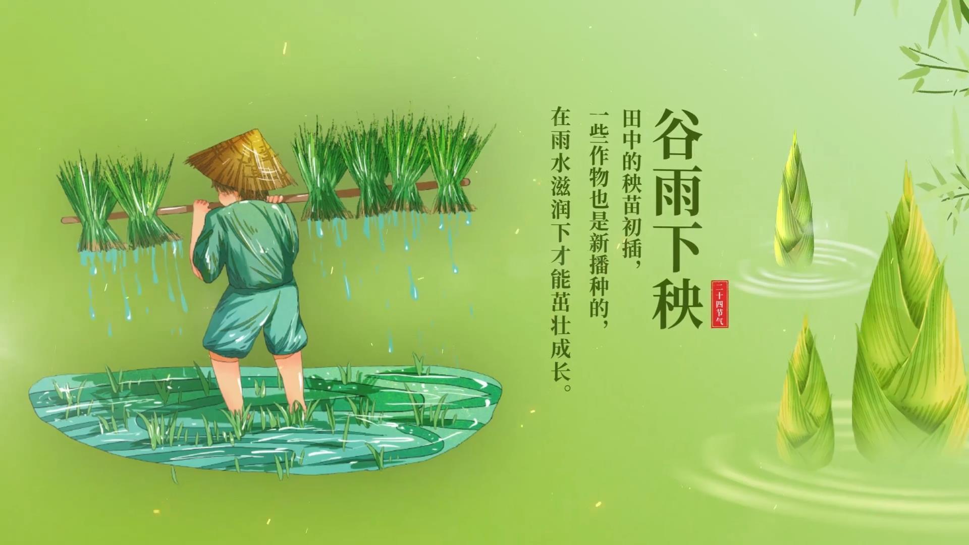 绿色清新谷雨节气图片头AE模板视频的预览图