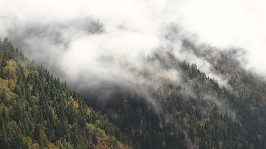 4A景区四川黑水县云雾缭绕的黑水彩林视频视频的预览图