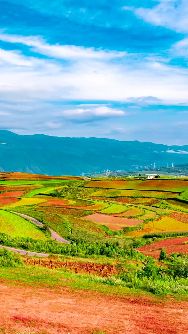 推迟云南红土地农田自然风光中国农业视频的预览图