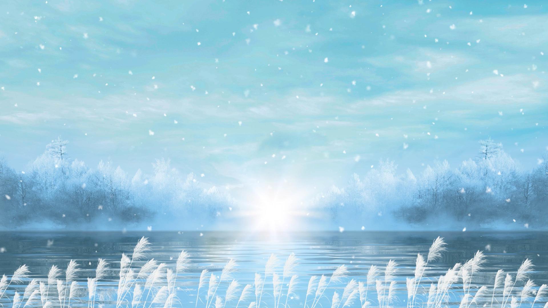 冬至美丽芦苇飘雪雪花背景视频的预览图