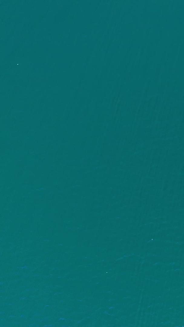 在丽江泸沽湖旅游休闲船上喂海鸥视频的预览图