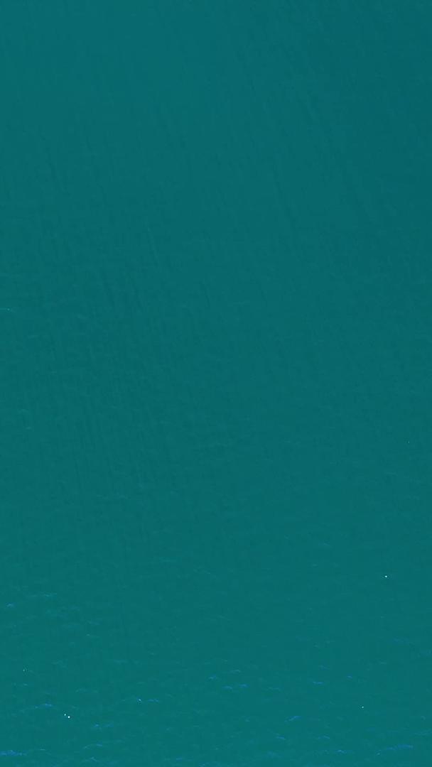 在丽江泸沽湖旅游休闲船上喂海鸥视频的预览图