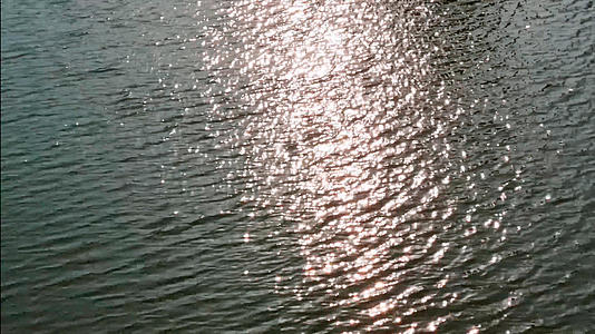户外波光粼粼的湖水反光4K视频视频的预览图