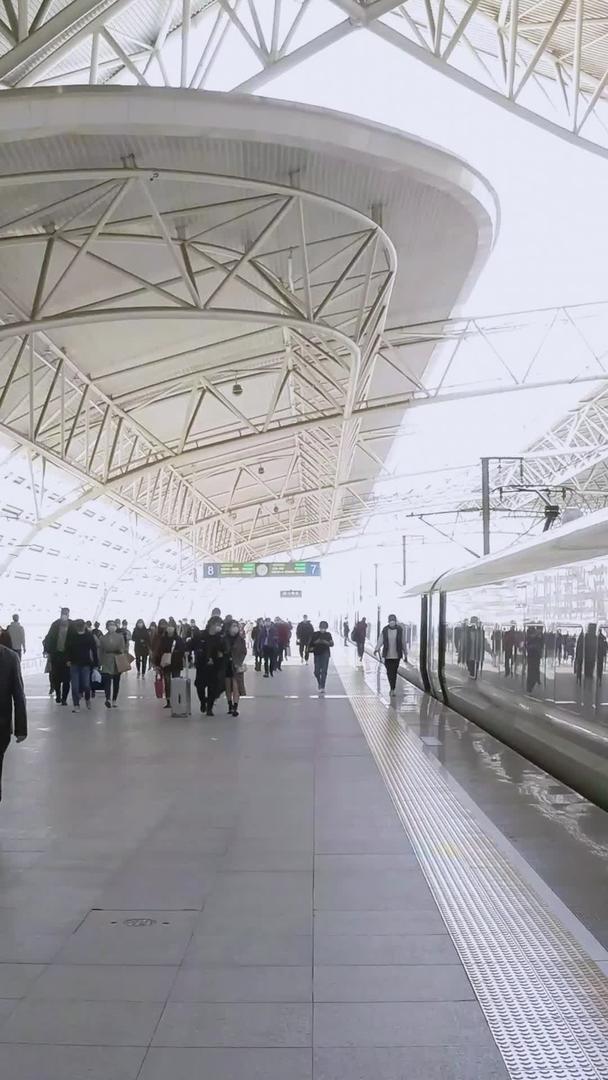 春运高铁站出行人流延迟视频的预览图