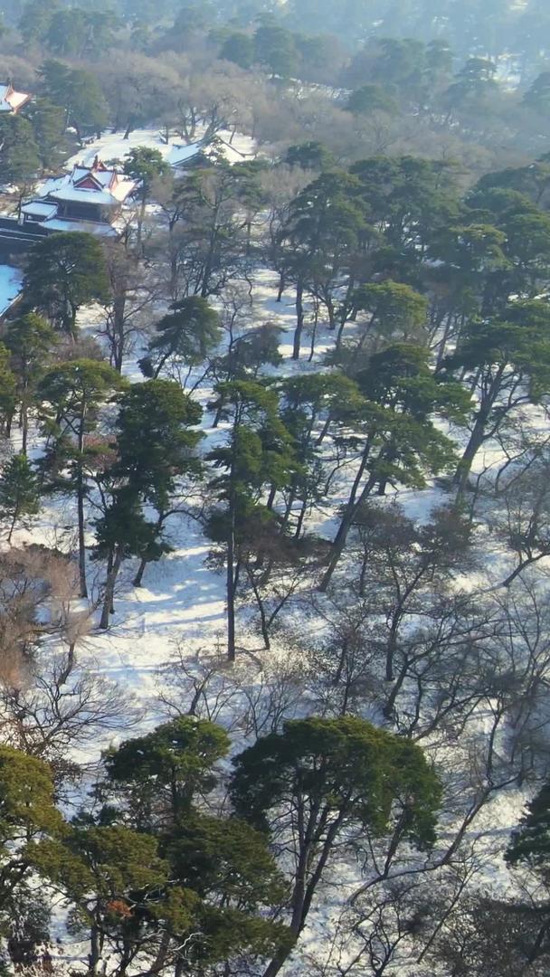 盛京东陵公园历史遗迹令人震惊视频的预览图